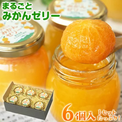 ふるさと納税 まるごとみかんゼリー 6個入×1セット 玉東町産含むみかん使用 みかん フルーツ 果物 贈答 ギフト《30日以内に順次出荷(土日祝除く)》送料無料