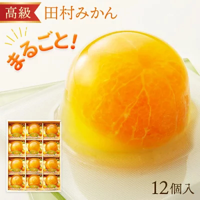 ふるさと納税 【プレミア和歌山認定】高級『田村みかん』を丸ごと使用！フルーツ丸ごとゼリーセット 12個入 | みかん 和歌山県 九度山町 ふるさと 納税 スイーツ 楽天ふるさと 支援 支援品 返礼品 名産 名産品 まるごと 果実 ミカン 蜜柑 お礼の品 特産品 ゼリー デザート